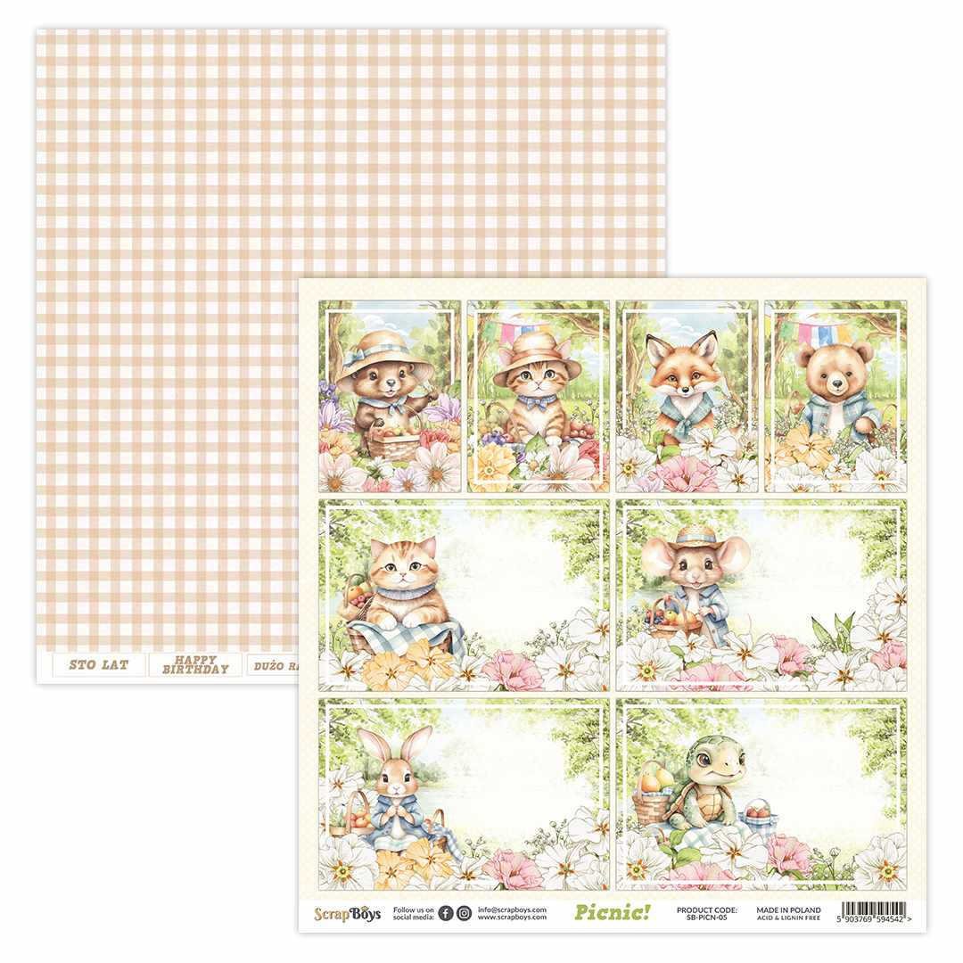 PICNIC 12 X 12 SINGLE PAPER SHEET 10PK PICN 05