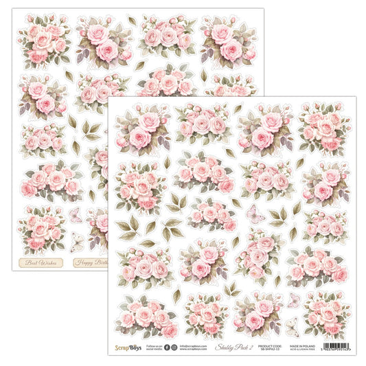 SHABBY PACK2  12 X 12 SINGLE PAPER SHEET 10PK  SHPC2 13